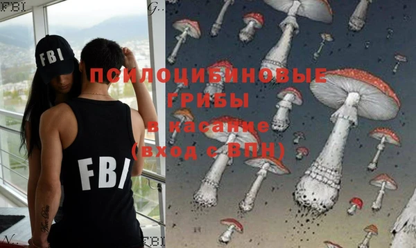 прущие грибы Алексин