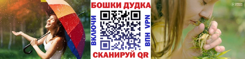где найти   Ковров  Шишки марихуана индика 